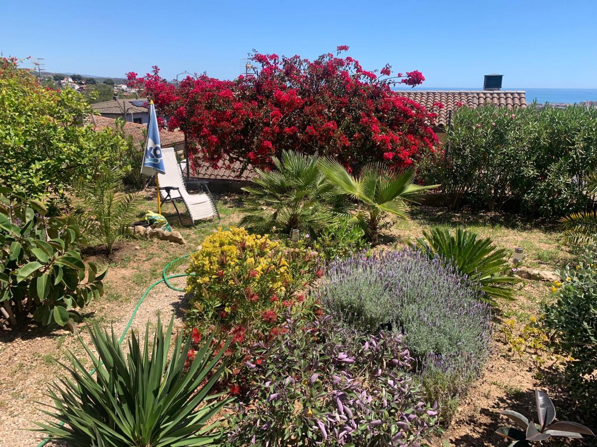 Precioso Apartamento Con Vista Al Mar Calafell Dış mekan fotoğraf